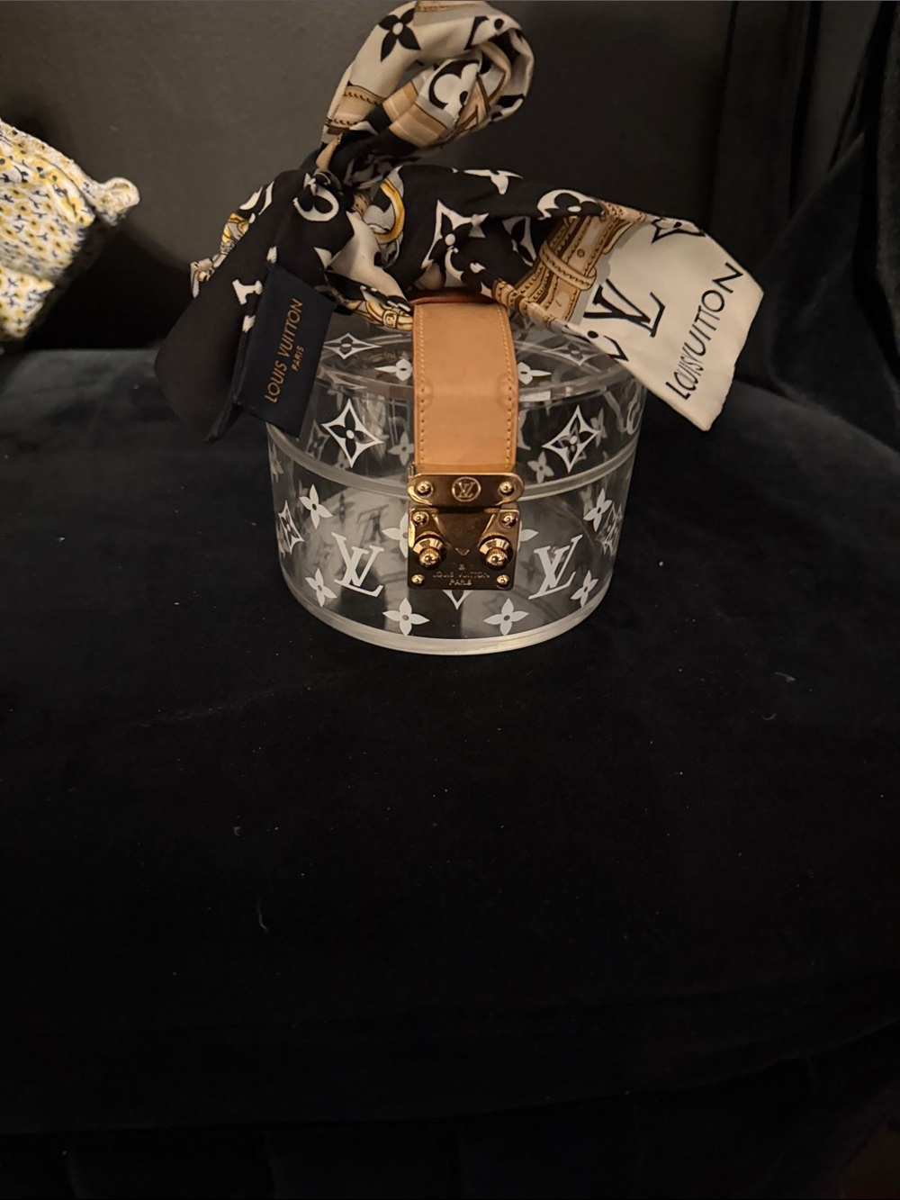 Louis Vuitton Clear Monogram Round Vanity Case Scott Bag with Scarf